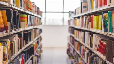 Illinois bill preventing library book bans passes Senate